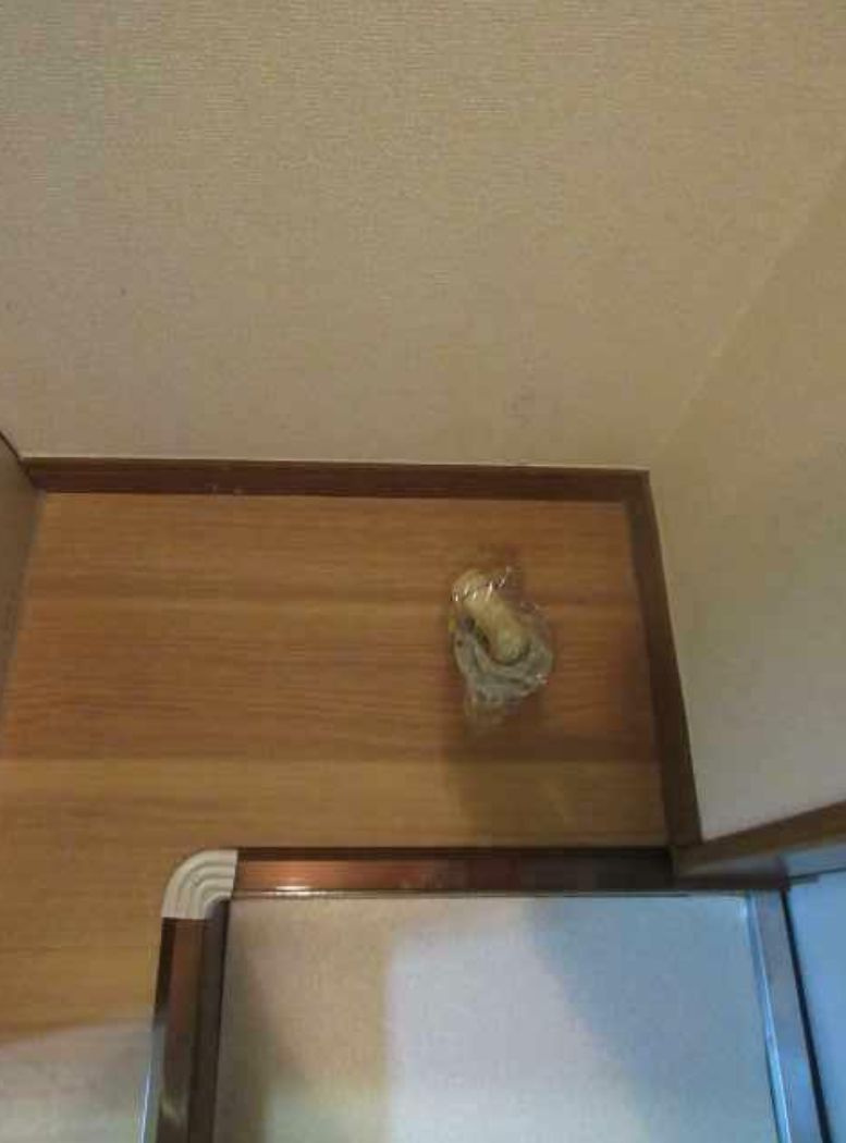 ライフピアエミリアの玄関|玄関☆