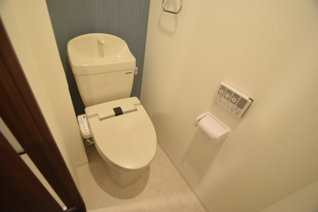 グランインフィニティ海神町のトイレ|落ち着いた色調のトイレです