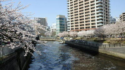 【周辺】 | ヴィラ・シェール