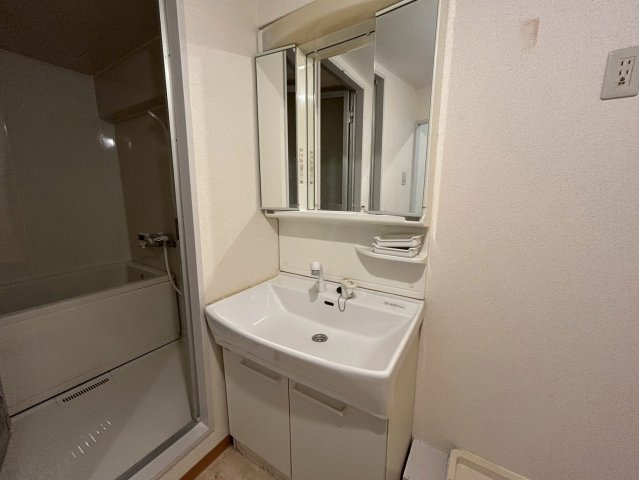 メゾン大邦の洗面所