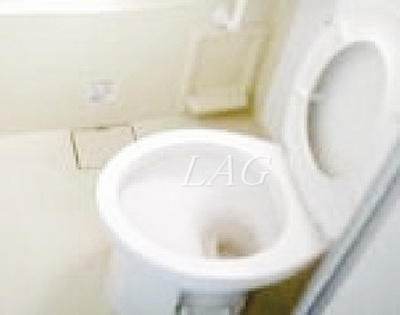 【トイレ】 | インペリアルお茶の水 | トイレです。