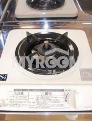 Fortune　House（フォーチュンハウス）のキッチン|キッチン（同一仕様写真）