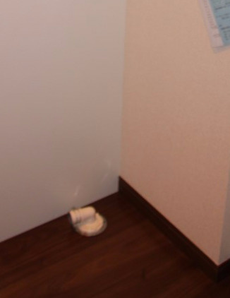 Fortune　House（フォーチュンハウス）の設備|室内洗濯機置場★