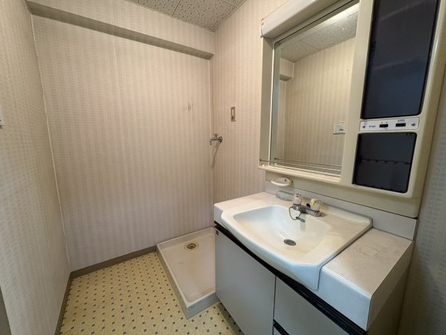 ベルメゾン武蔵関2階の独立洗面台|独立洗面台です