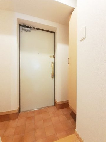 熊本市中央区国府１丁目の賃貸マンションの玄関|明るい玄関です