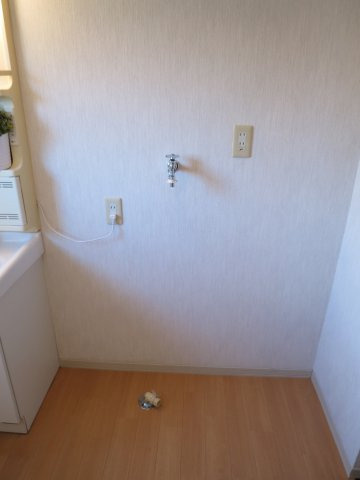 ベルテ伊藤D棟の洗面所|洗濯機置き場