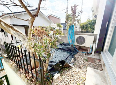 【庭】 | 灘区薬師通４丁目　中古戸建 | 南庭にはガーデニングや家庭菜園が楽しめます