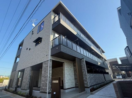 フリージアの画像