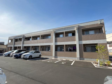 プリマヴェーラ（primavera)の画像