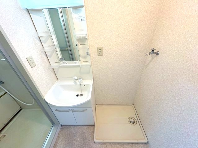 ヴィラ仲谷向陽台の洗面所