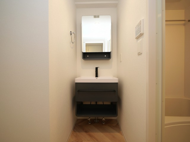 セレニテ新大阪グランデミリューの洗面所