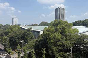 リッシェル飛鳥山