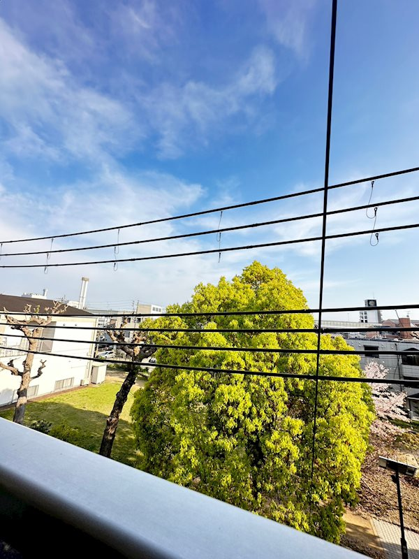グリーンハウス大石の展望