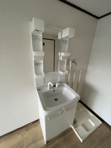 上細沢戸建ての洗面所