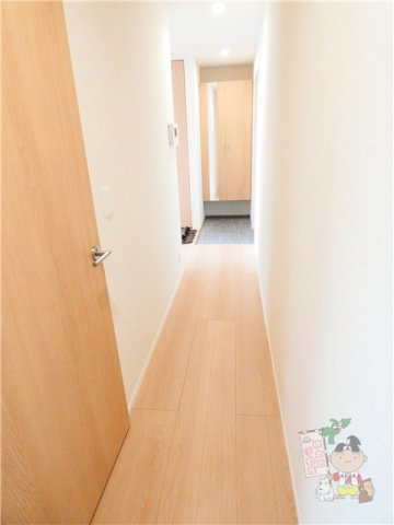 ＮＡＰのその他