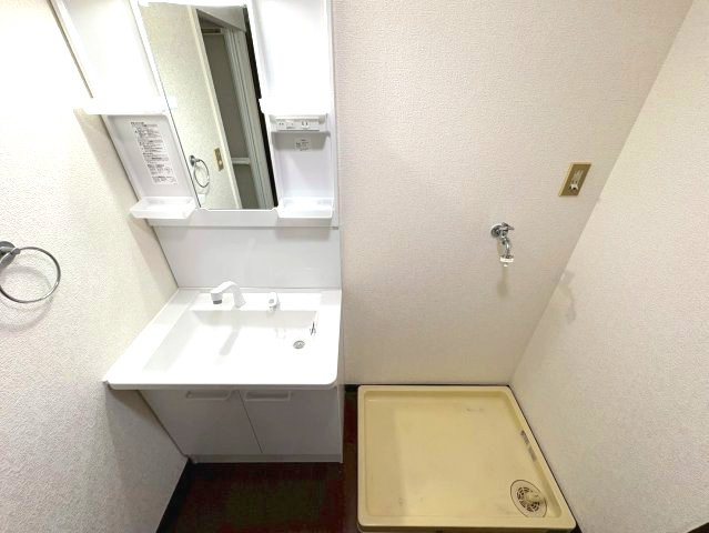 グローバル伸和の洗面所