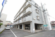 ヴェーラエレガンテの画像