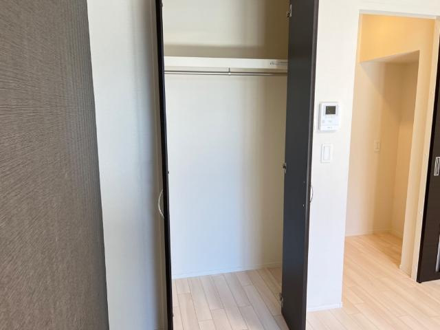 ゴールドラッシュの収納|収納