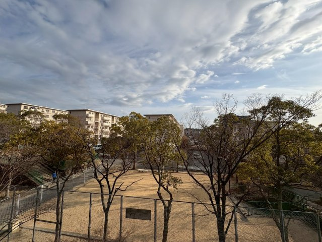 パームスクエアジェームス山 の展望