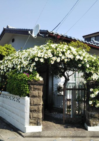 徳島市新浜本町１丁目の中古一戸建