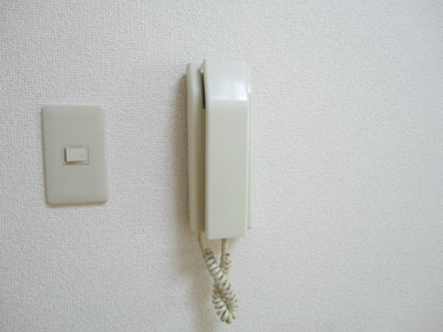 【セキュリティ】 | レオパード白楽