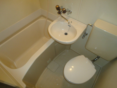 【浴室】 | レオパード白楽