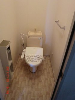 ディアス光B棟のトイレ