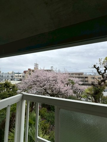 ２２番館の展望