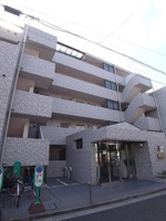 外観もきれいです