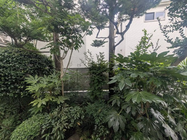 Duoの展望