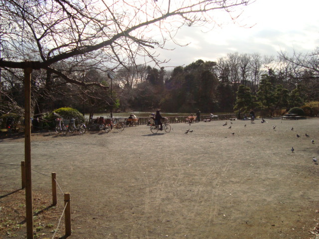 公園まで30ｍ