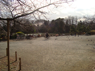 公園まで30ｍ