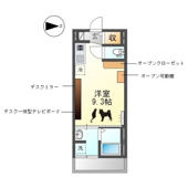 ソルチ歌里の画像