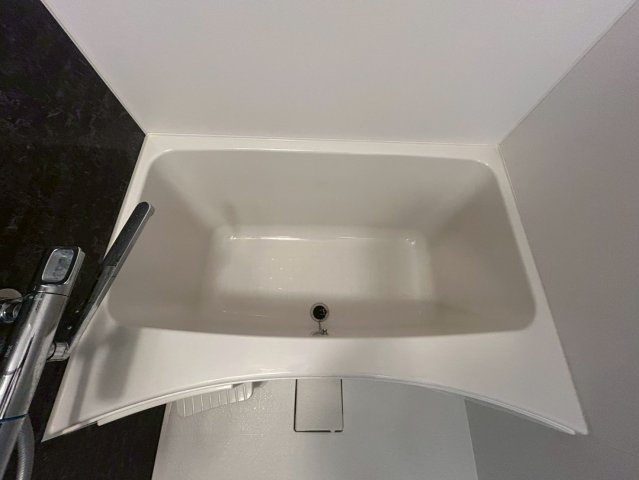 S-RESIDENCE難波大国町dominaの浴室