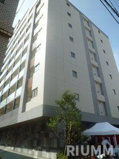 フレンシア菊川の画像