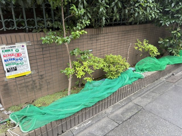 【その他】