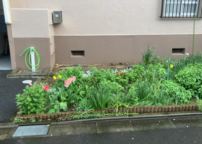 【庭】 | 相武台団地1505号棟 | 庭があることでガーデニングや家庭菜園はもちろん、こどもの遊び場やペットを放して遊ぶことができます。また、家の周囲に余裕があるということです。隣地との間があれば、十分な日当たりと、風通しが確保できます。