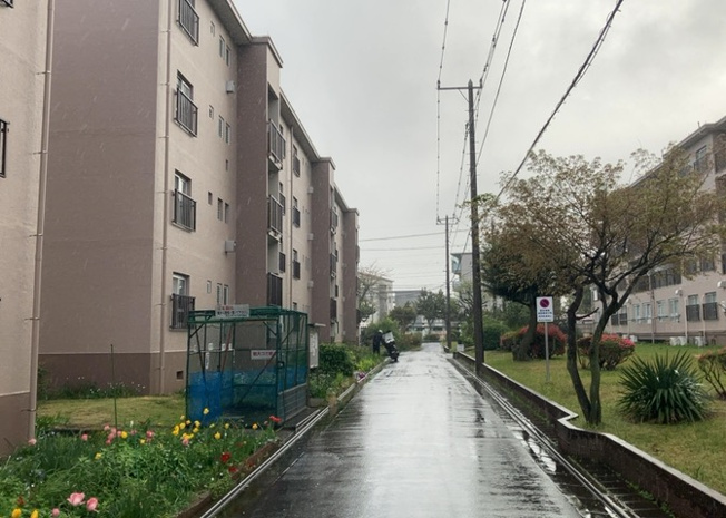 【外観】 | 相武台団地1505号棟 | お持ちの車種によっては前面道路が広い方が便利でしょう。しかし、前面道路が広ければその分交通量が多くなるため、騒音などが気になる場合があります。実際に現地を見学し、周辺交通量や騒音などを確認しましょう！