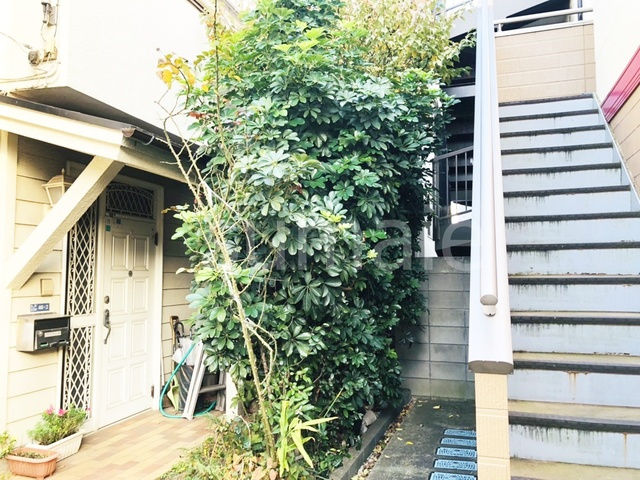 リバティハウスのその他|植栽です☆彡