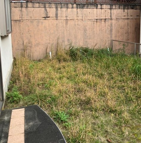 大場町戸建の庭