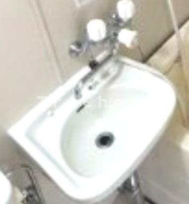 パレス関の洗面所