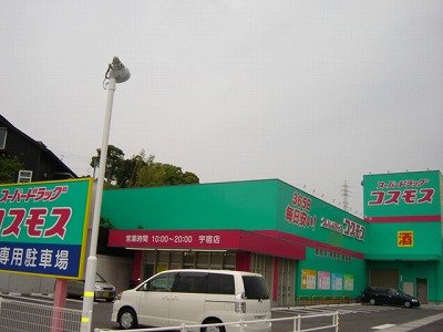 【周辺】 | ディスカウントドラッグコスモス鹿児島宇宿店まで483ｍ