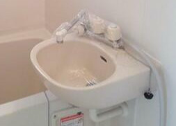 ジュネッス彩の洗面所