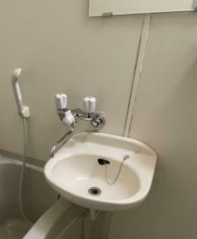 グレイスコートの洗面所