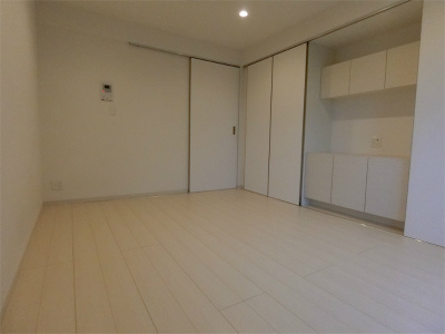 リブリ・HANYUの収納