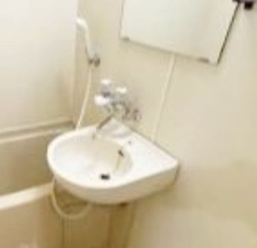 パンシオン東林間の洗面所
