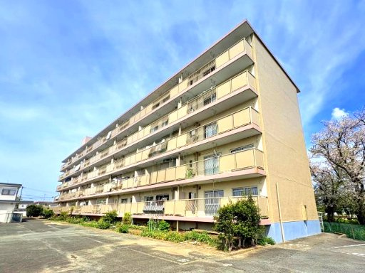 パビリオン浜松　中央区北島町の外観|パビリオン浜松 築52年ですが、外壁塗装もされていて築年数を感じさせない外観です。