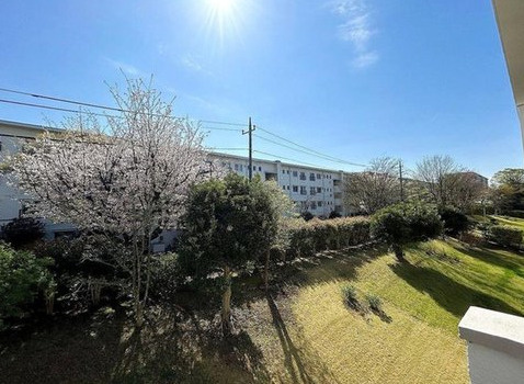 たまプラーザ団地３街区６号棟の展望|緑も多くゆったりとした敷地で癒される眺望ですね。