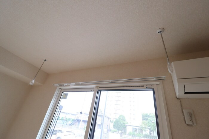 キャリコマルモのその他