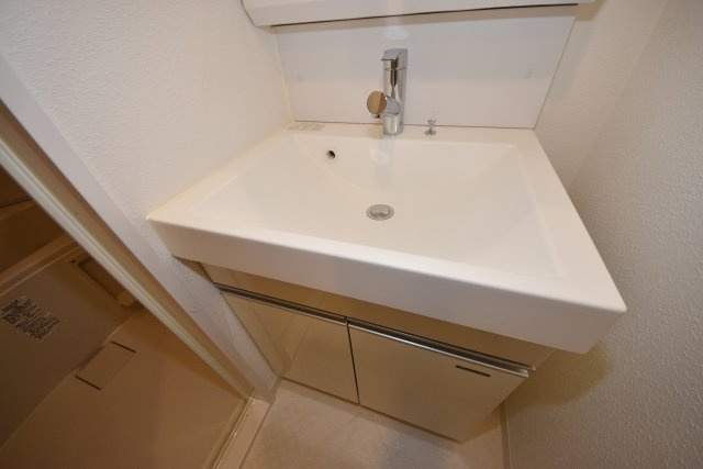 レオンコンフォート大手前ラトゥールの洗面所